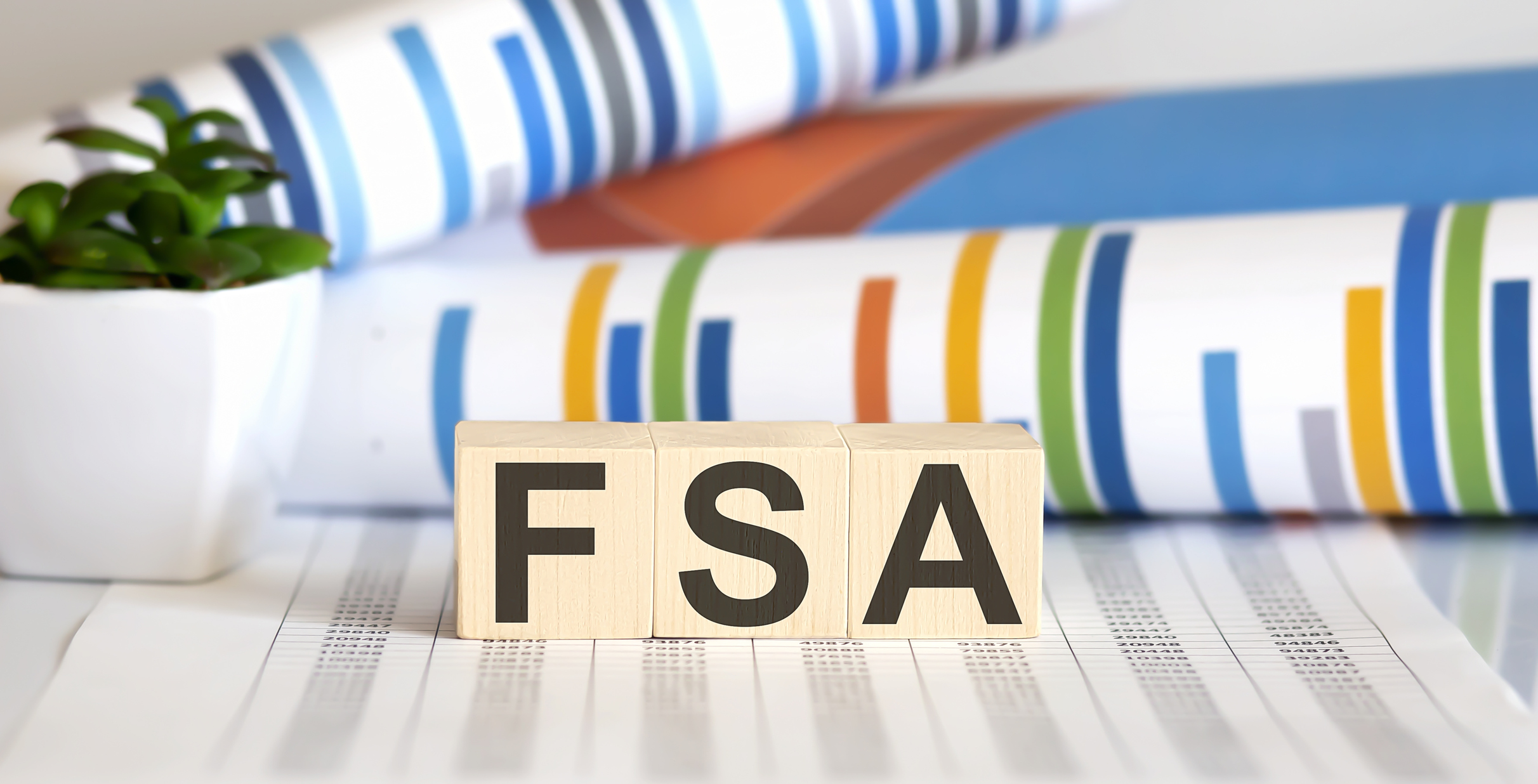 HSA vs. FSA: The Biggest Differences and How to Choose | Higginbotham ...